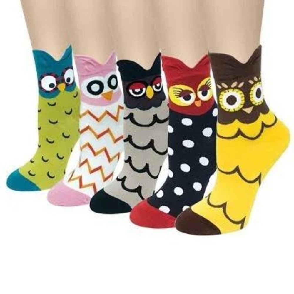 You Are Owlsome Women's Owl Novelty Crew Socks 5-Pair Gift Set